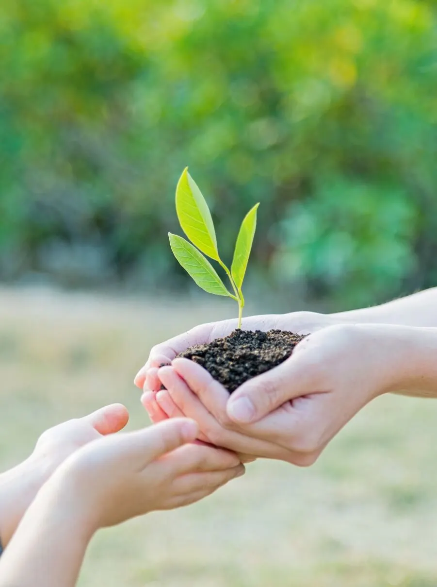 Local farming initiative